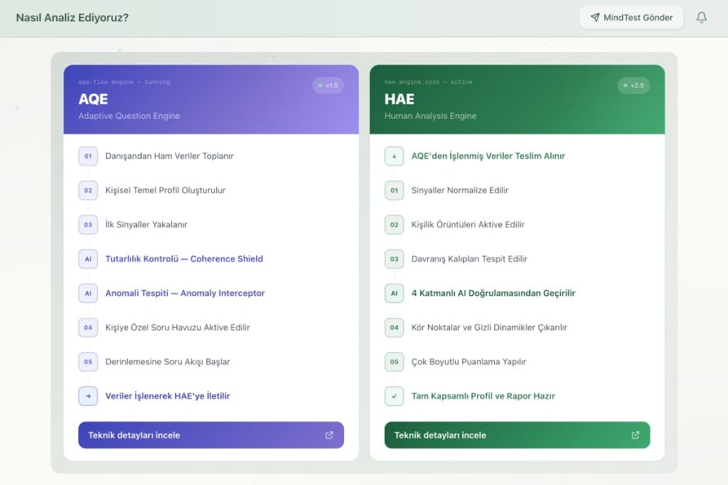 AQE ve HAE Motor Görünümü