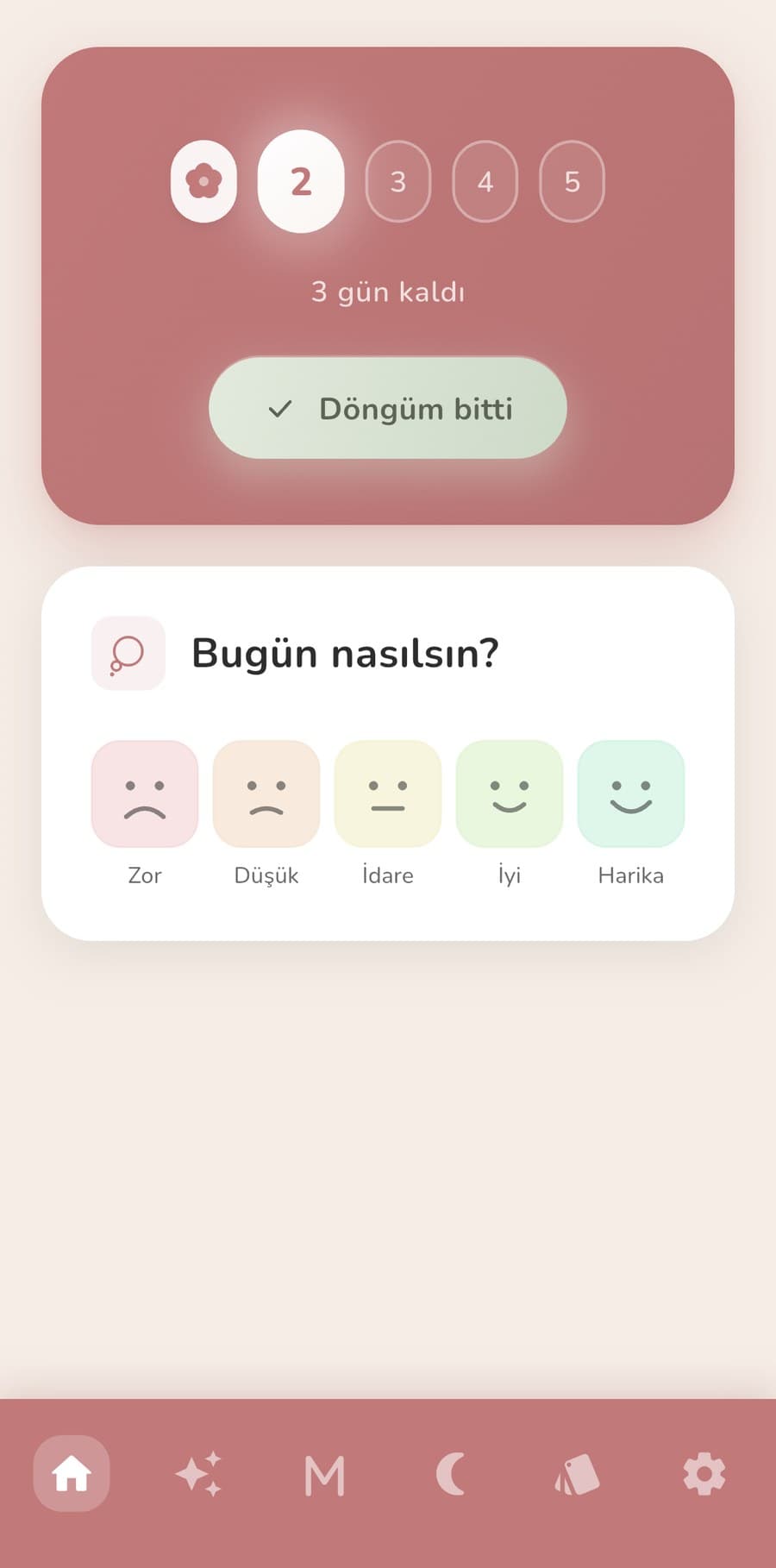 Ana Ekran - Döngü takibi ve günün check-in'i
